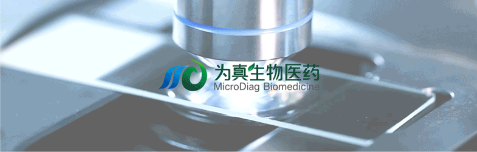 王瑩院長(zhǎng)領(lǐng)銜，王弢博士技術(shù)負(fù)責(zé)的研發(fā)項(xiàng)目獲浙江省2024年度“尖兵”“領(lǐng)雁”研發(fā)攻關(guān)計(jì)劃項(xiàng)目立項(xiàng)