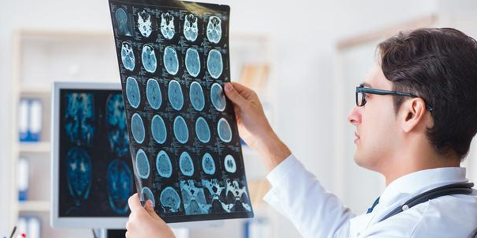 1648535687321240.jpg 10.2.jpg