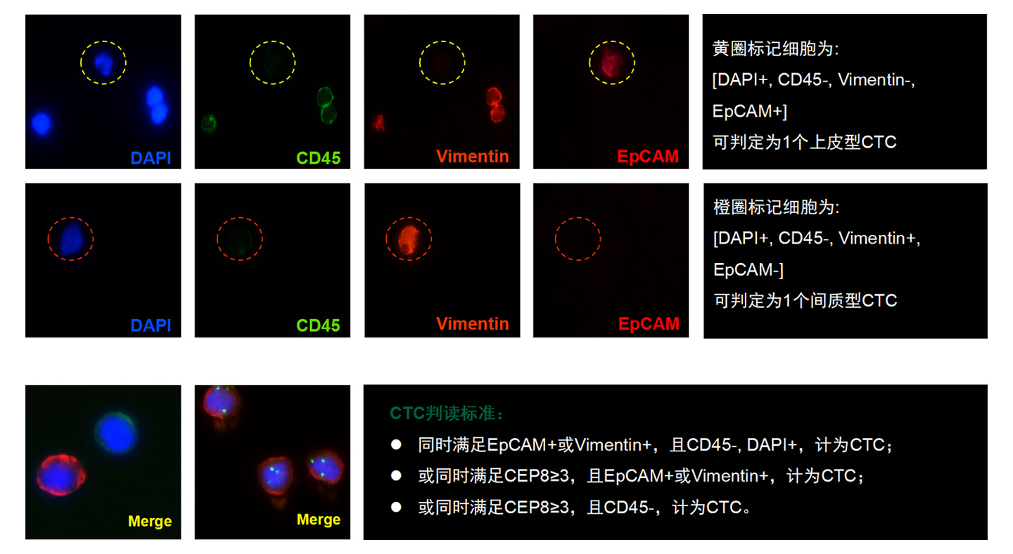 1654073049941262.jpg 圖片4.jpg
