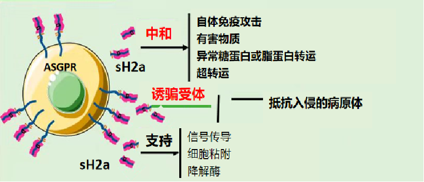 1687310847747826.png image.png