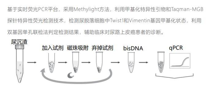 1691590398757622.png 1691590386279.png