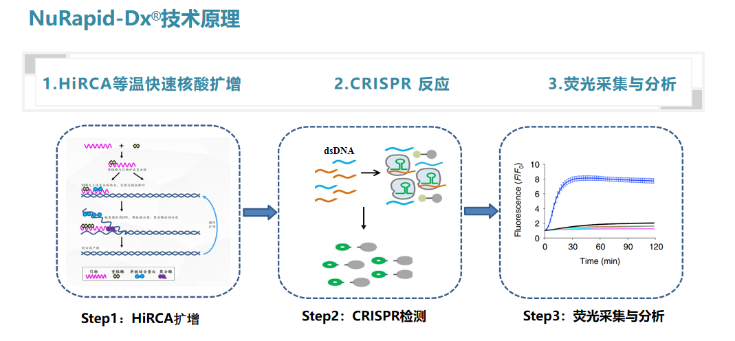 1707800952266825.png 1707801012768.png